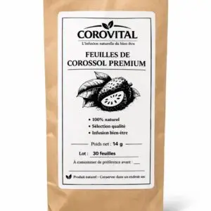 Feuilles de Corossol (graviola)